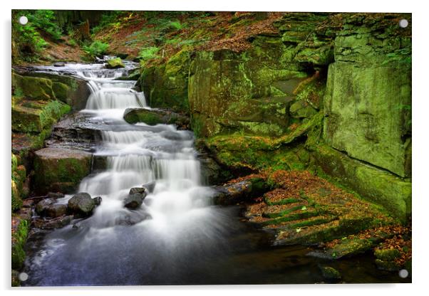 Lumsdale Waterfalls                                Acrylic by Darren Galpin