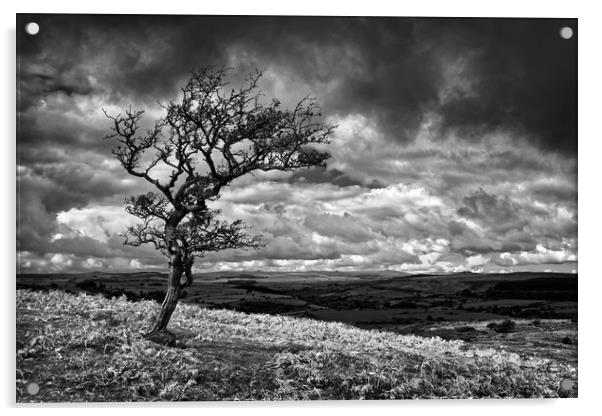 Dark Clouds over Combestone Tor                    Acrylic by Darren Galpin