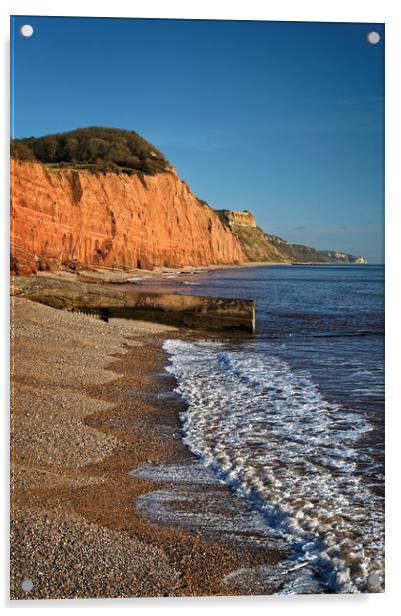 Sidmouth Coastline                       Acrylic by Darren Galpin