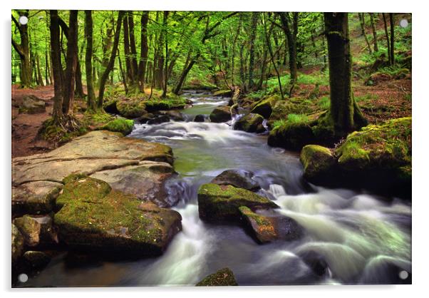 Golitha Falls Acrylic by Darren Galpin