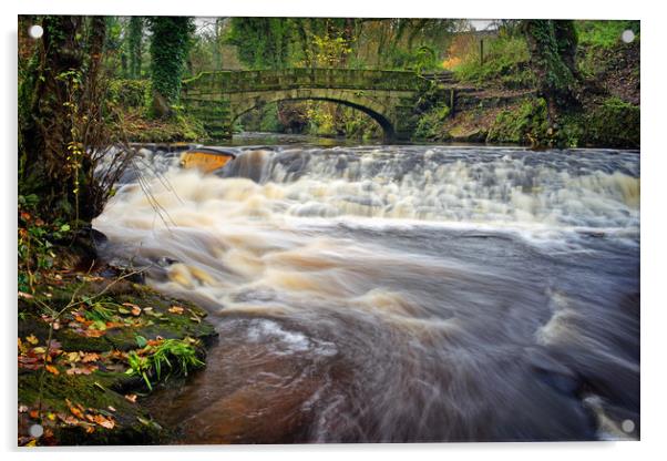 Rivelin Packhorse Bridge & Weir                    Acrylic by Darren Galpin