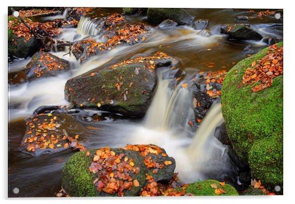 Padley Gorge in Autumn                             Acrylic by Darren Galpin