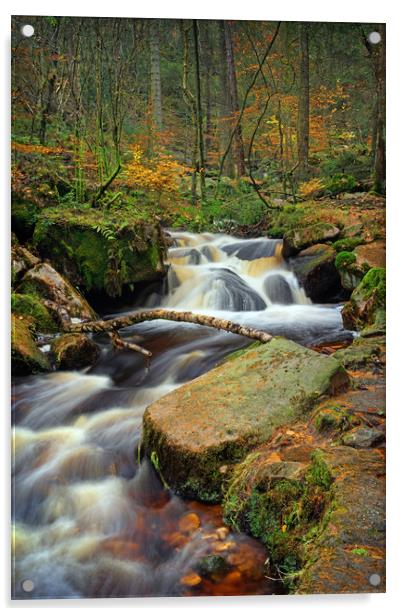 Wyming Brook in Autumn                             Acrylic by Darren Galpin