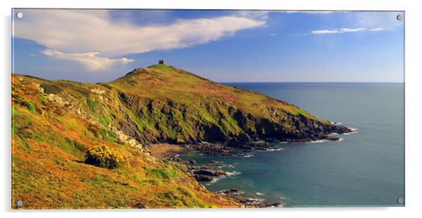 Rame Head & Whitsand Bay Acrylic by Darren Galpin