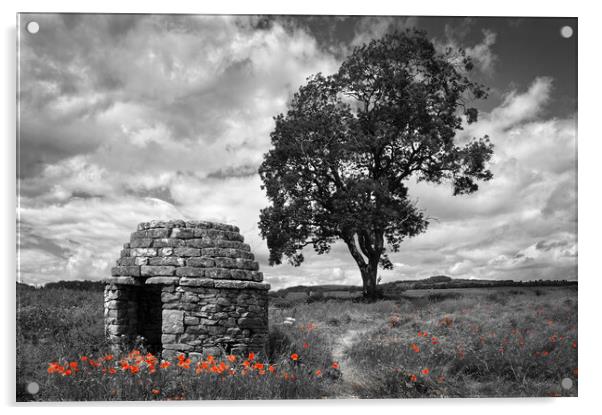 Stone Hut & Tree, Baslow, Derbyshire  Acrylic by Darren Galpin