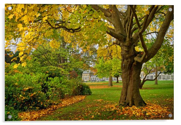 Sheffield Botanical Gardens in Autumn Acrylic by Darren Galpin
