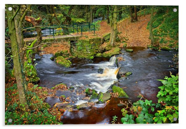 Hind Wheel Waterfalls and Footbridge  Acrylic by Darren Galpin