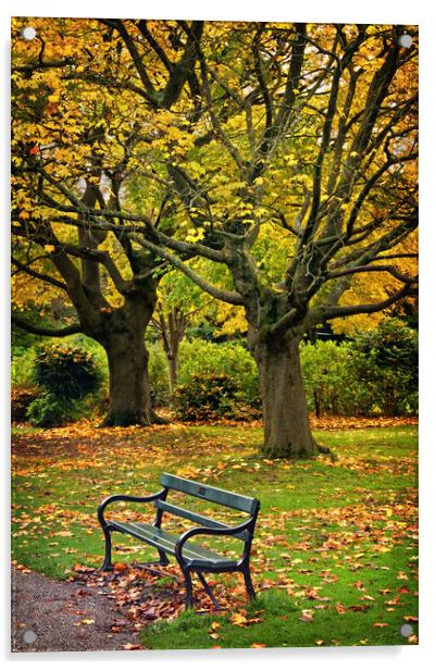 Autumn Bench Acrylic by Darren Galpin