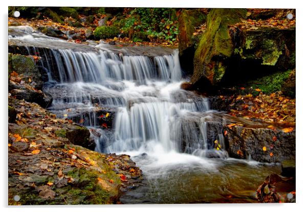 Lumsdale Falls  Acrylic by Darren Galpin