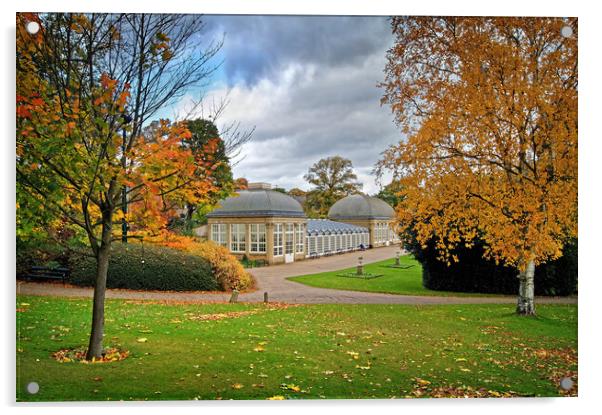 Sheffield Botanical Gardens in Autumn              Acrylic by Darren Galpin
