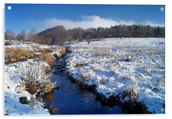 Burbage Brook in Winter Acrylic by Darren Galpin