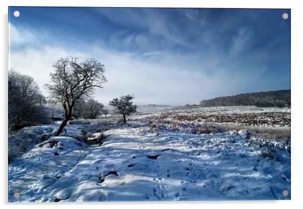 Lawrence Field in Winter Acrylic by Darren Galpin