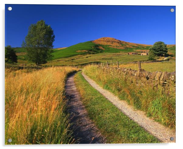 Footpath to Callow Bank  Acrylic by Darren Galpin