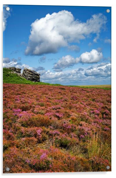 Cowper Stone Acrylic by Darren Galpin