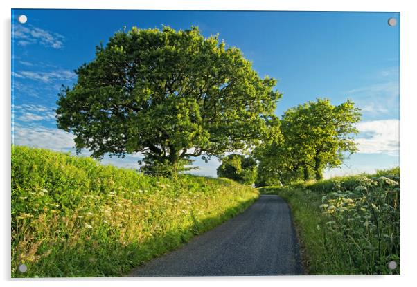 Somerset Country Lane Acrylic by Darren Galpin