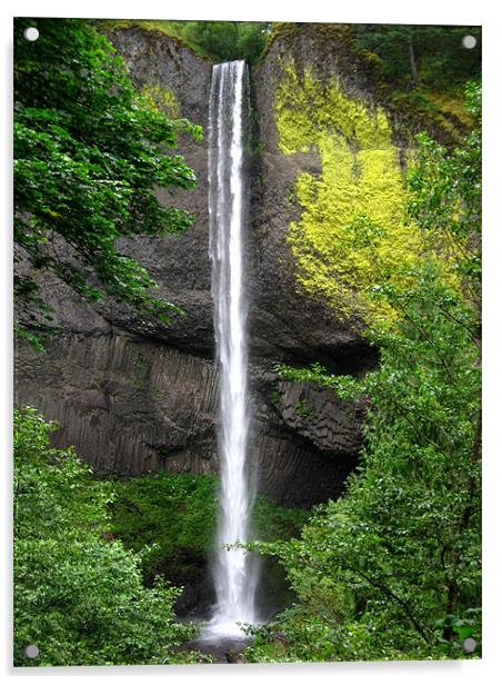Oregon Waterfall Acrylic by Steve Bieberich
