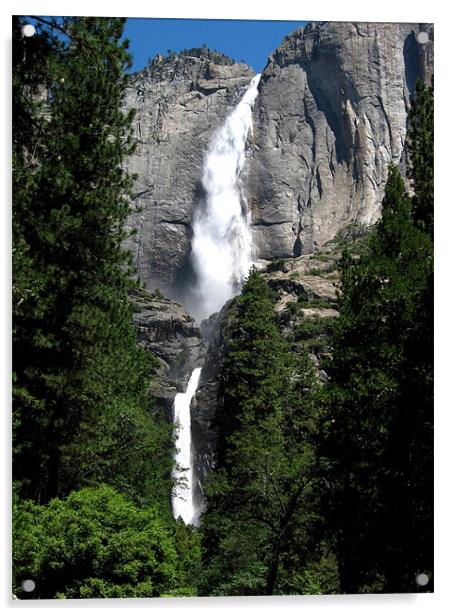 Yosemite Falls Acrylic by Steve Bieberich