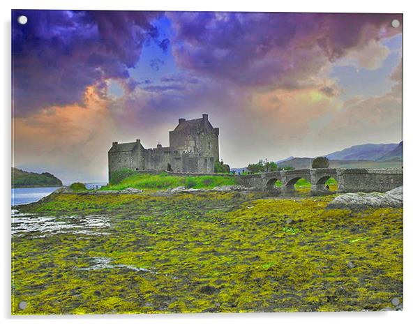 Eilean Donan Castle Acrylic by paul jenkinson