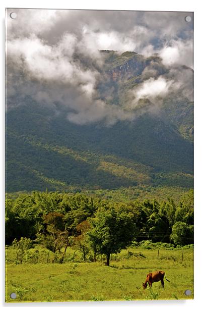 The Nilgiris from Mavanalla Acrylic by Norwyn Cole