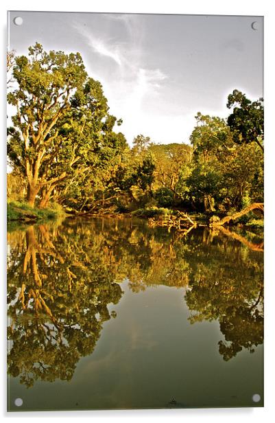 The Moyar River being reflective Acrylic by Norwyn Cole