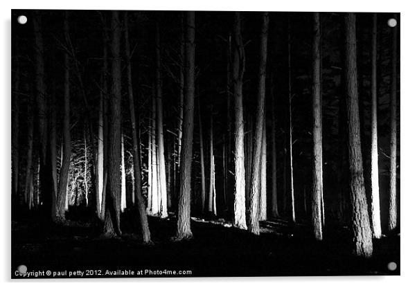 Forest Lights Acrylic by paul petty