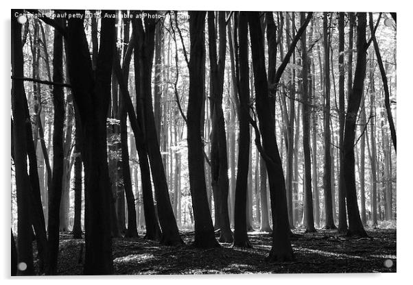  woods Acrylic by paul petty