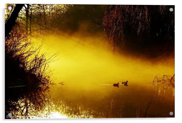 foggy morning, sunrise Acrylic by Catherine Davies