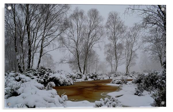 Cheshire snow drift Acrylic by Shaun Cope