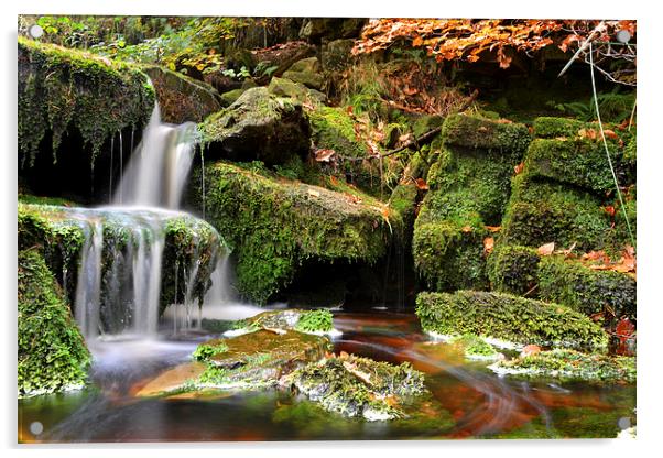 Waterfall Green Moss Acrylic by Shaun Cope