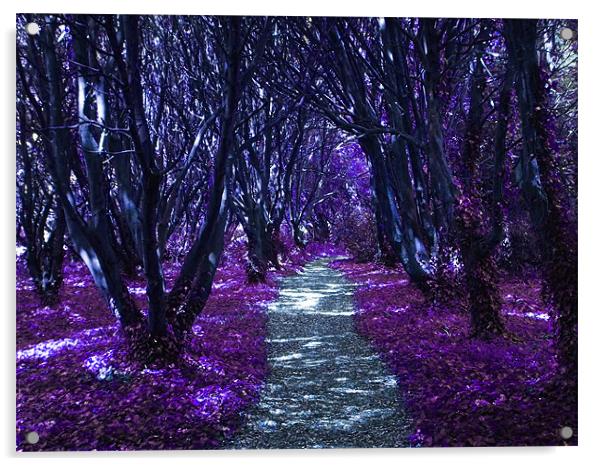 A Lilac Coloured Walk Acrylic by Martin Albones
