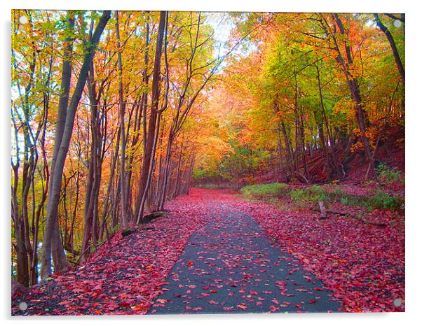 Fall Walkway Acrylic by Beth Mishata