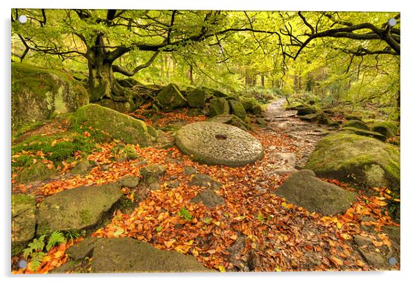 Padley Gorge Acrylic by Tracey Whitefoot