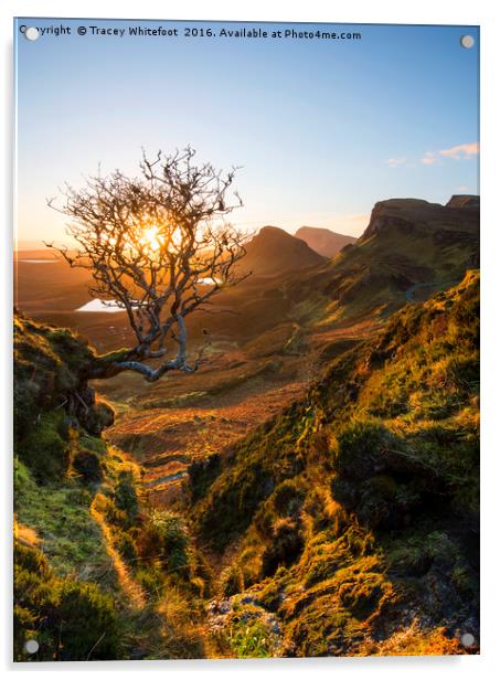 The Quiraing Tree  Acrylic by Tracey Whitefoot