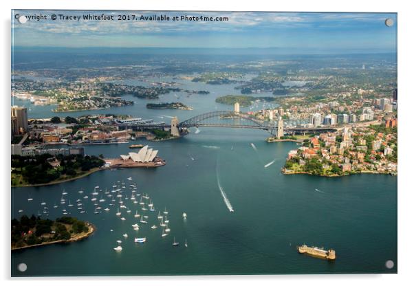 Sydney from the Air  Acrylic by Tracey Whitefoot