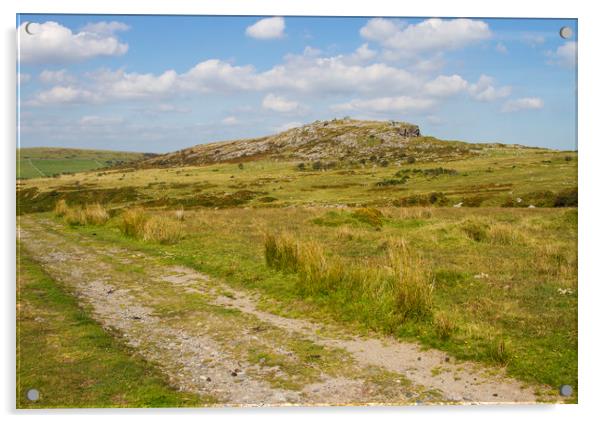 Poldark Way Acrylic by CHRIS BARNARD