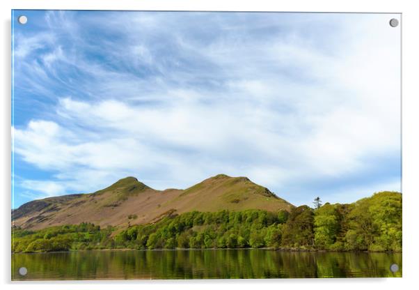 Catbells View Acrylic by CHRIS BARNARD