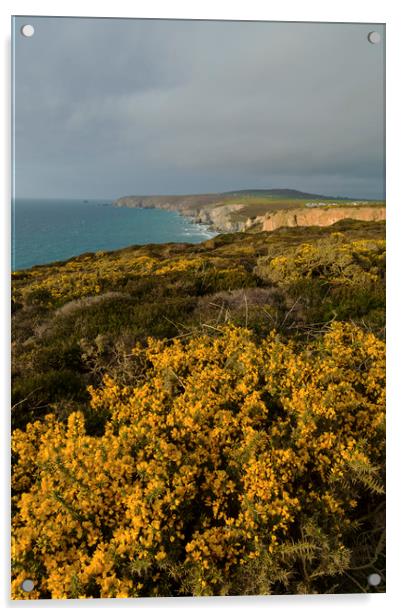 Coastal Colour Acrylic by CHRIS BARNARD