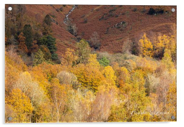 Autumn Colours Lake District Acrylic by CHRIS BARNARD
