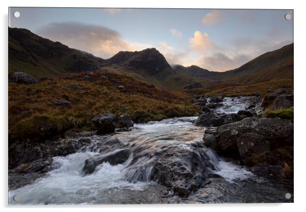 Deepdale Beck Lake District Acrylic by CHRIS BARNARD