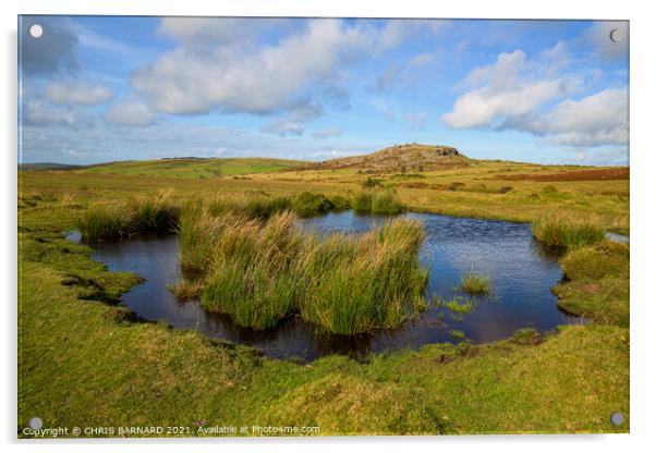 Bodmin Moor Cornwall Acrylic by CHRIS BARNARD