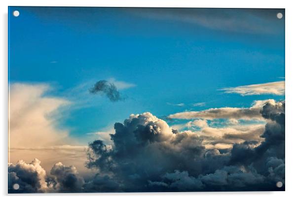 Cumulus Cloud Patterns Acrylic by Liz Shewan