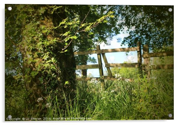 Gateway to Heaven | Secret Location in Devon Acrylic by Liz Shewan