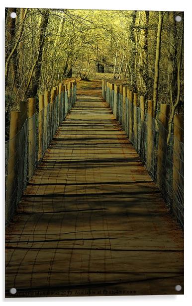 Wetland Footbridge Acrylic by Mark  F Banks