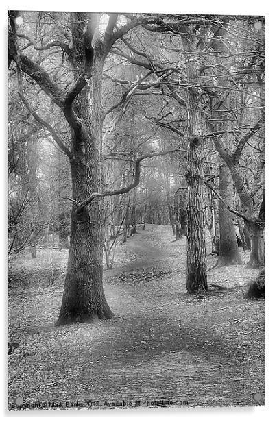 Woodland path Acrylic by Mark  F Banks