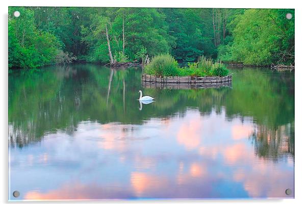 Evening Light At Headley Mill Pond Acrylic by Mark  F Banks