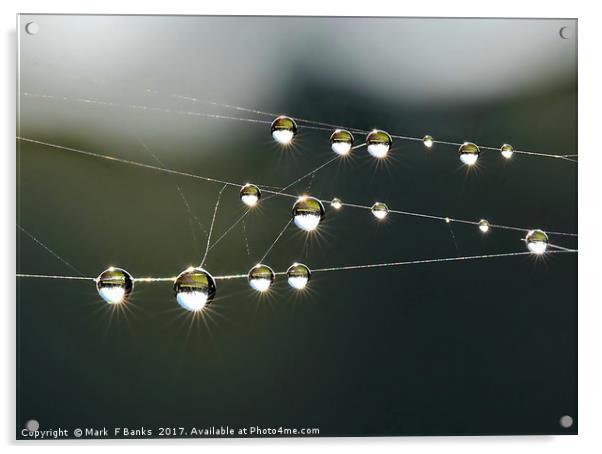 Dew Drop Rays Acrylic by Mark  F Banks