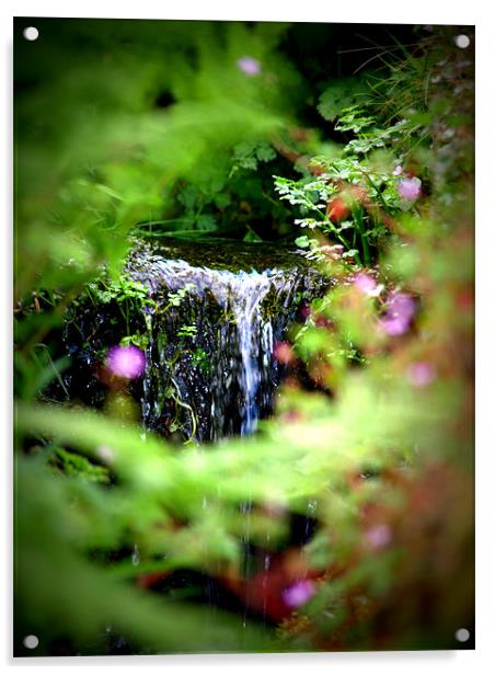 waterfall Acrylic by trudi green