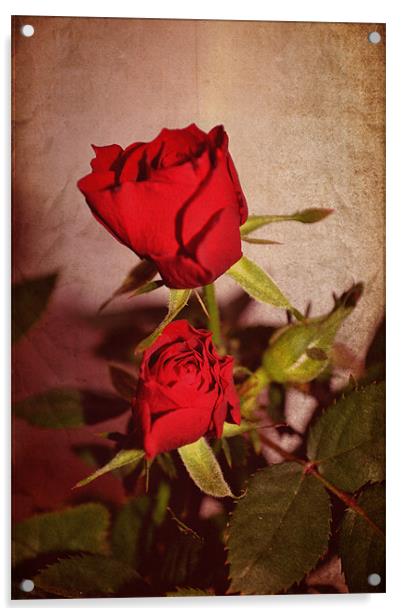 Red roses. Acrylic by Nadeesha Jayamanne