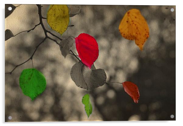 Autumn colors!! Acrylic by Nadeesha Jayamanne