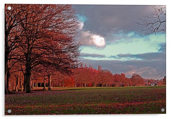 Autumn view!!! Acrylic by Nadeesha Jayamanne